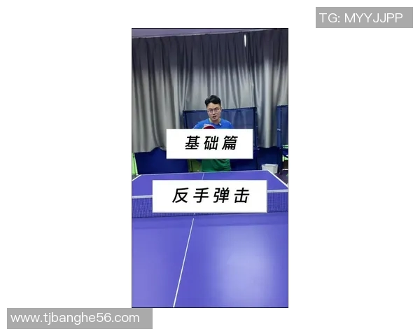 吴伟独家分享乒乓球技巧与心得助你提升球技的秘诀与经验