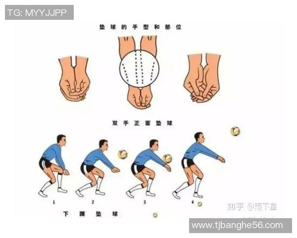 排球新手必看:提升灵活性的全面入门攻略与实用技巧分享 排球新手必看:提升灵活性的全面入门攻略与实用技巧分享