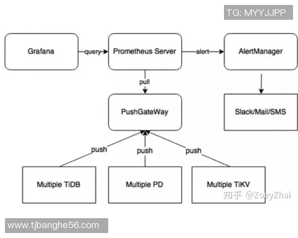 武汉排球队在世界锦标赛中的团队协作表现深度点评与分析 武汉排球队在世界锦标赛中的团队协作表现深度点评与分析