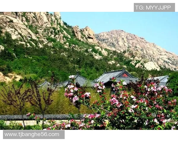 足球明星与明朝皇帝后代的传奇交汇揭示历史与现代的奇妙联系 足球明星与明朝皇帝后代的传奇交汇揭示历史与现代的奇妙联系