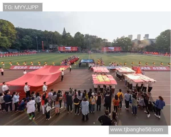 成都排球队的拼搏历程与荣耀时刻全景回顾