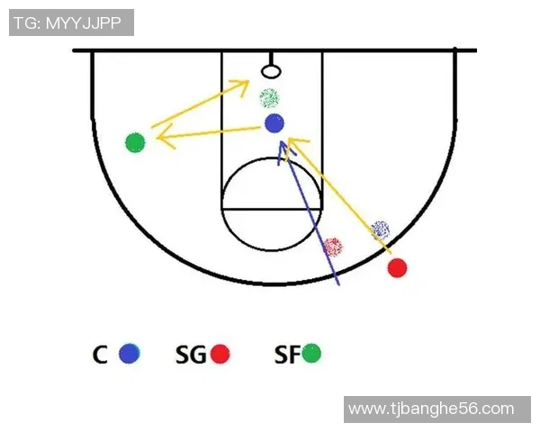 杭州排球队防反战术解析与实战应用探讨