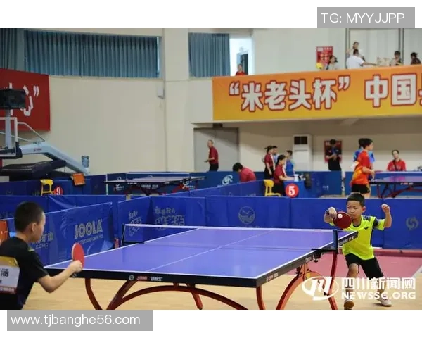 武汉乒乓球队战术解析与训练策略探讨聚焦乒乓球发展新方向