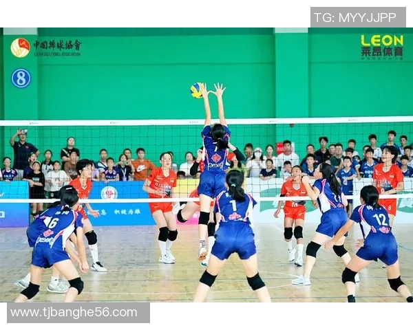 深入探讨上海排球队各队实力对比及未来发展潜力分析 深入探讨上海排球队各队实力对比及未来发展潜力分析