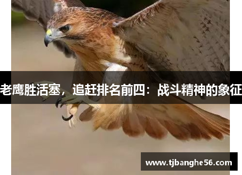 老鹰胜活塞，追赶排名前四：战斗精神的象征